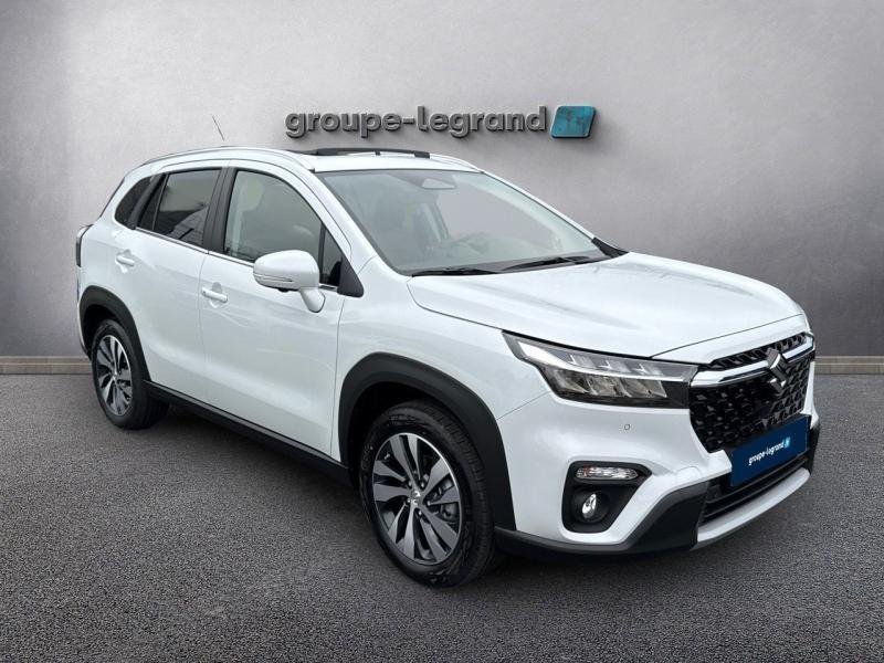 suzuki - Visuel 2