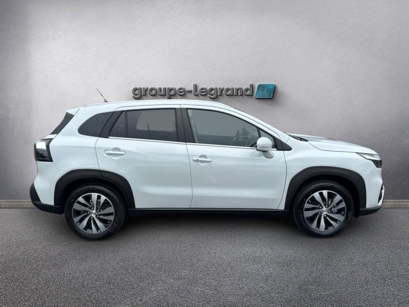 suzuki - Visuel 3