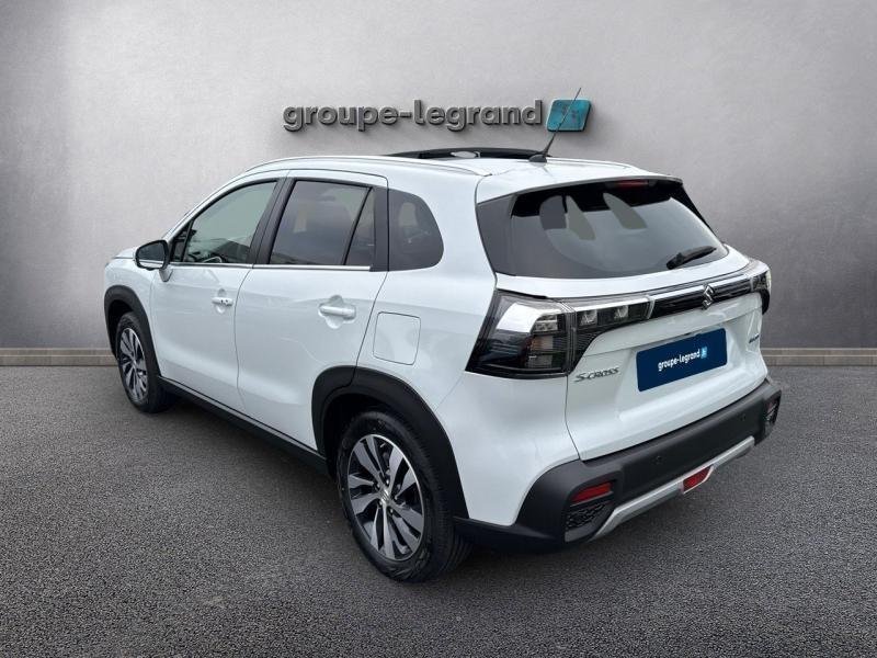 suzuki - Visuel 6