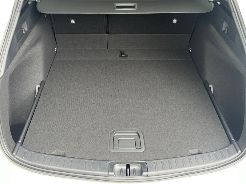 suzuki - Visuel 5