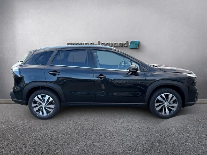 suzuki - Visuel 3