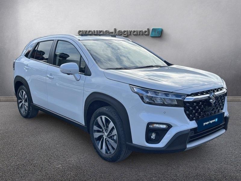 suzuki - Visuel 2