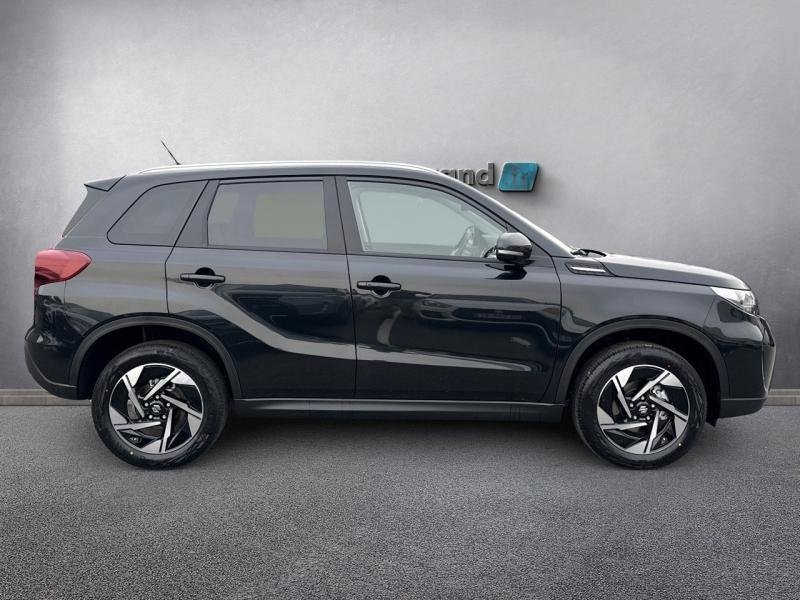 suzuki - Visuel 3