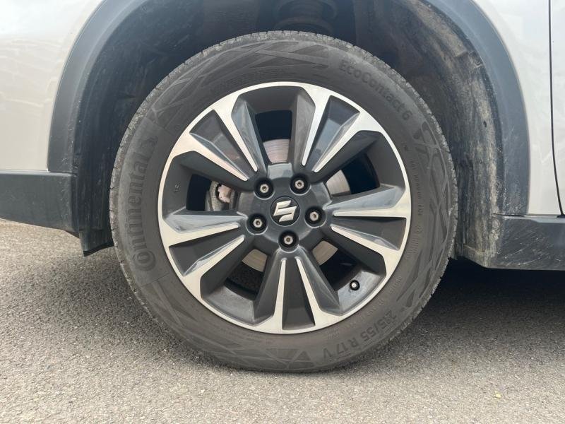 suzuki - Visuel 6