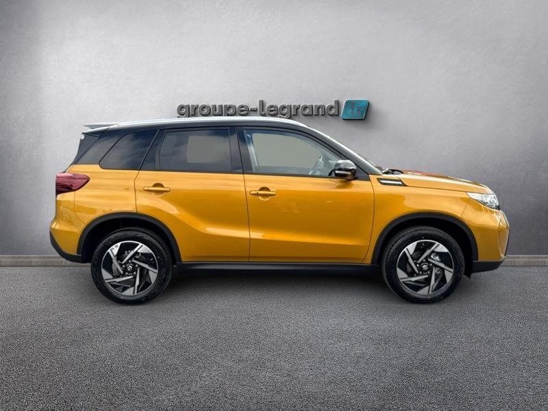 suzuki - Visuel 3