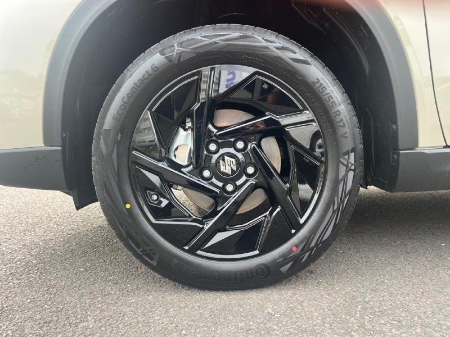 suzuki - Visuel 6
