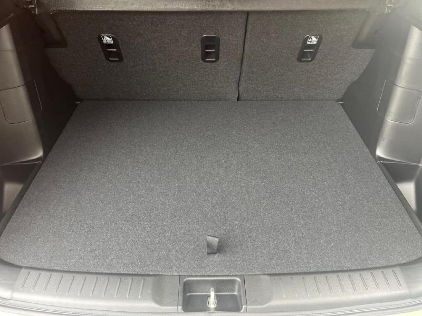 suzuki - Visuel 9