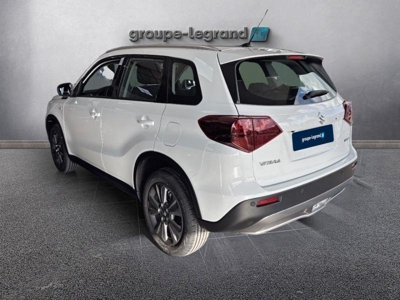 suzuki - Visuel 4